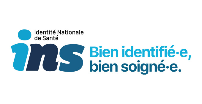 Logo INSI